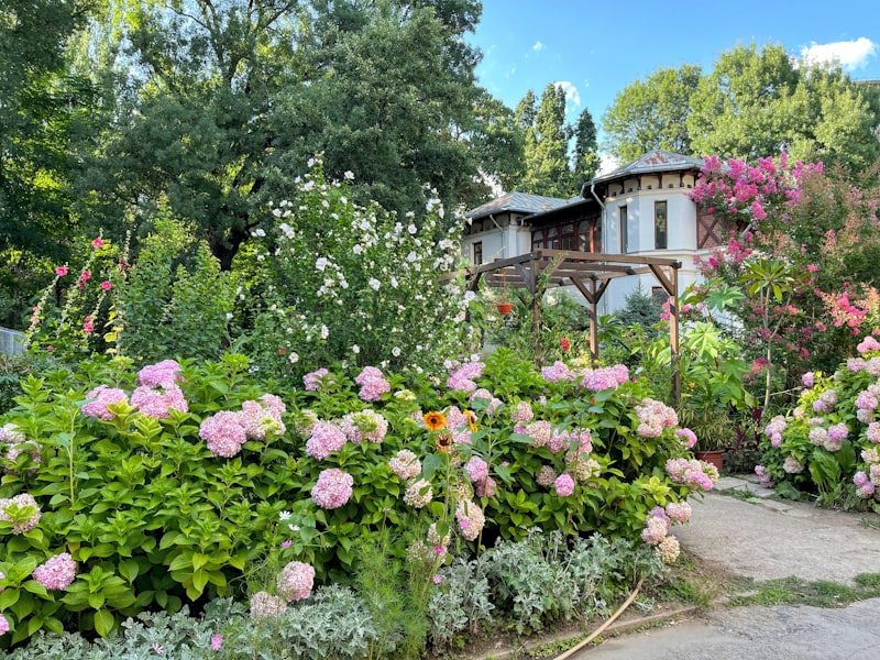Creating a Cottage Garden: Romantic and Relaxed