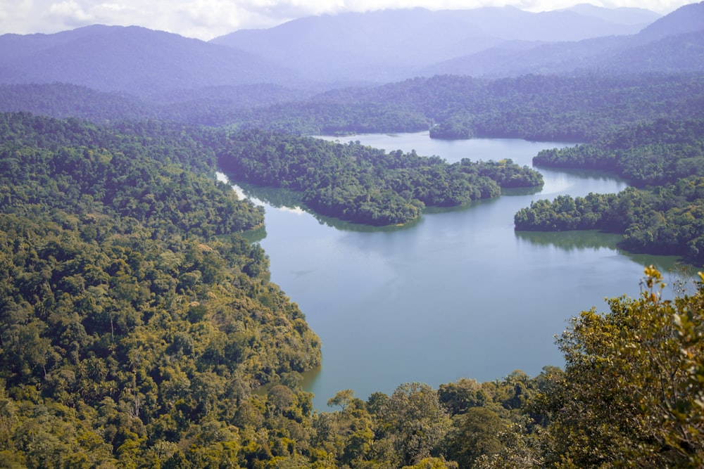 a lake surrounded by trees