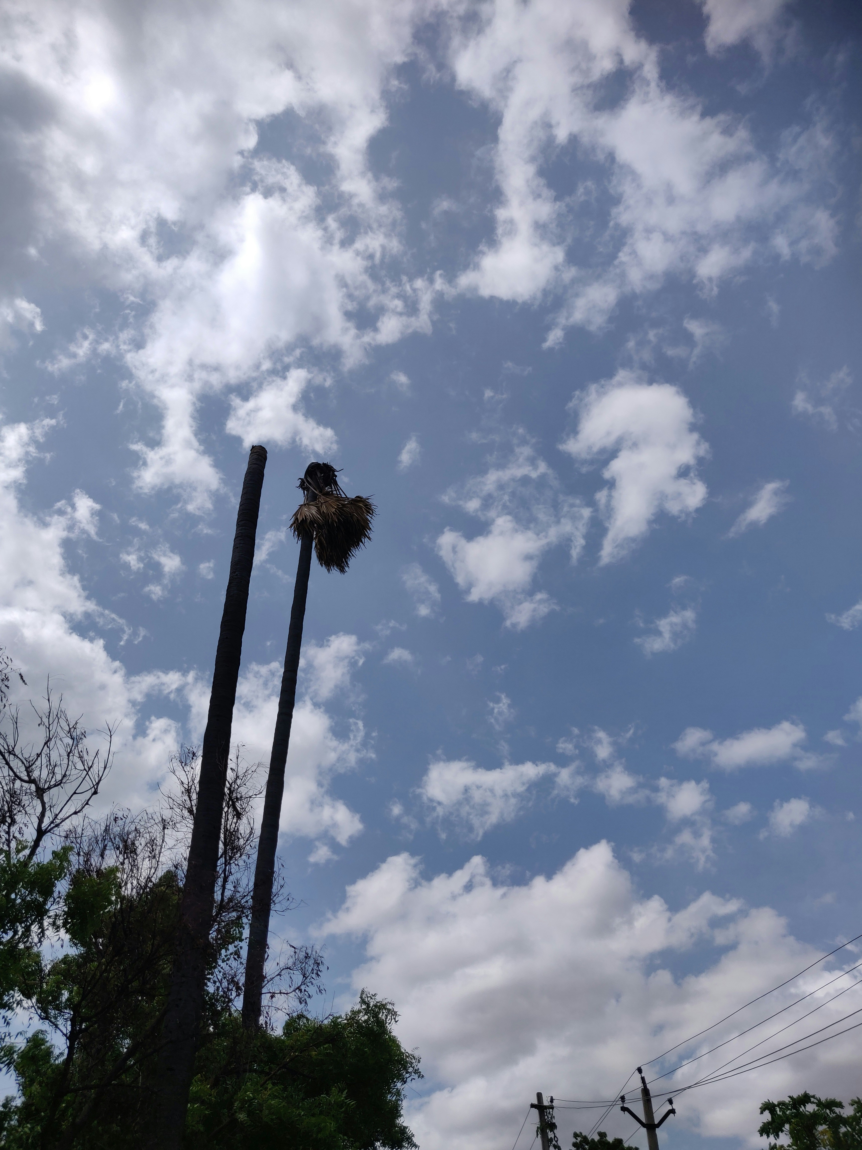 Photo by selvaganeshs