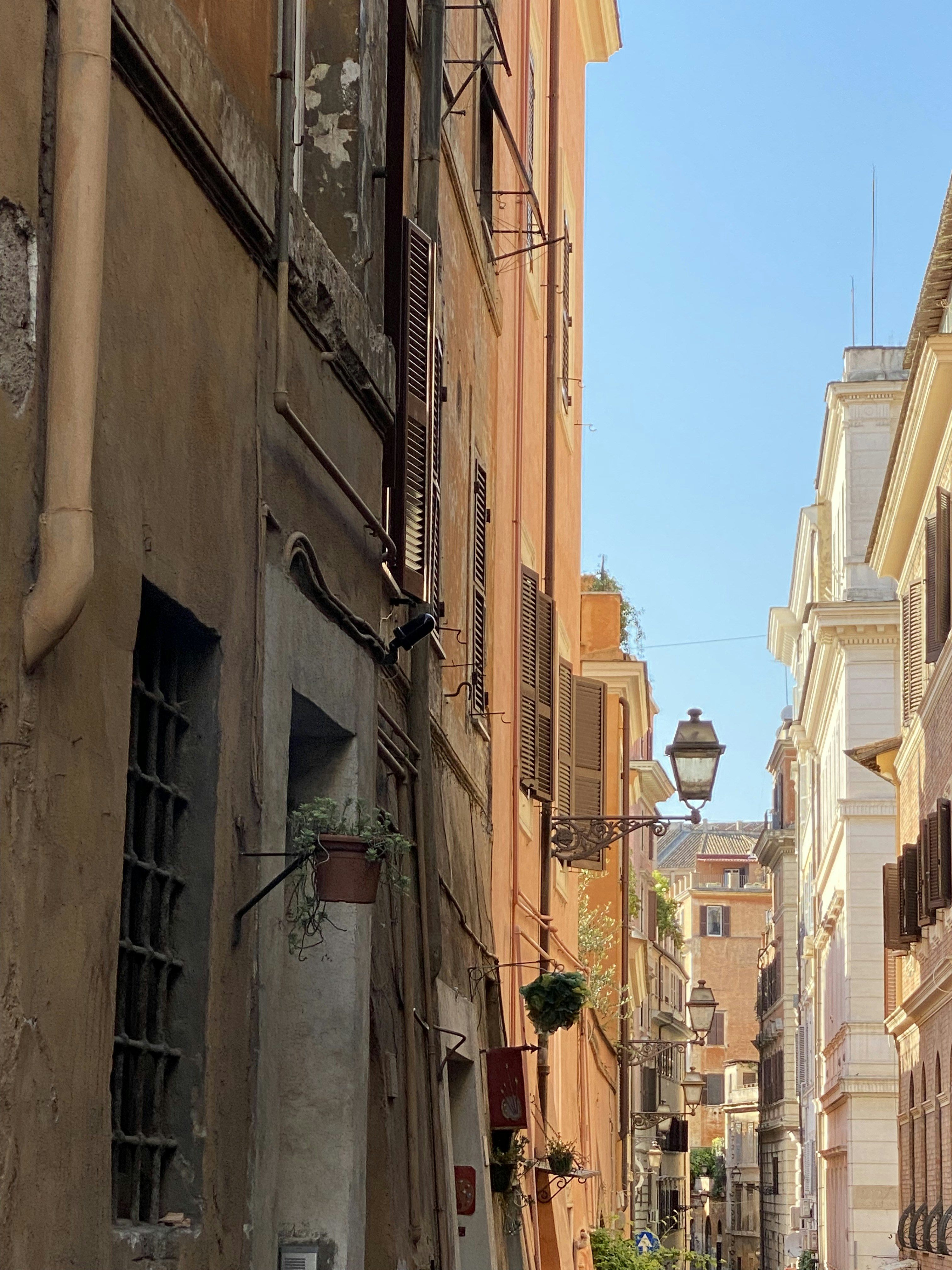 Photo by jsteelebear