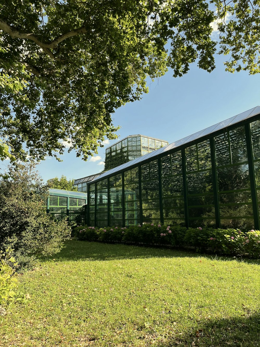 a glass building with a glass front