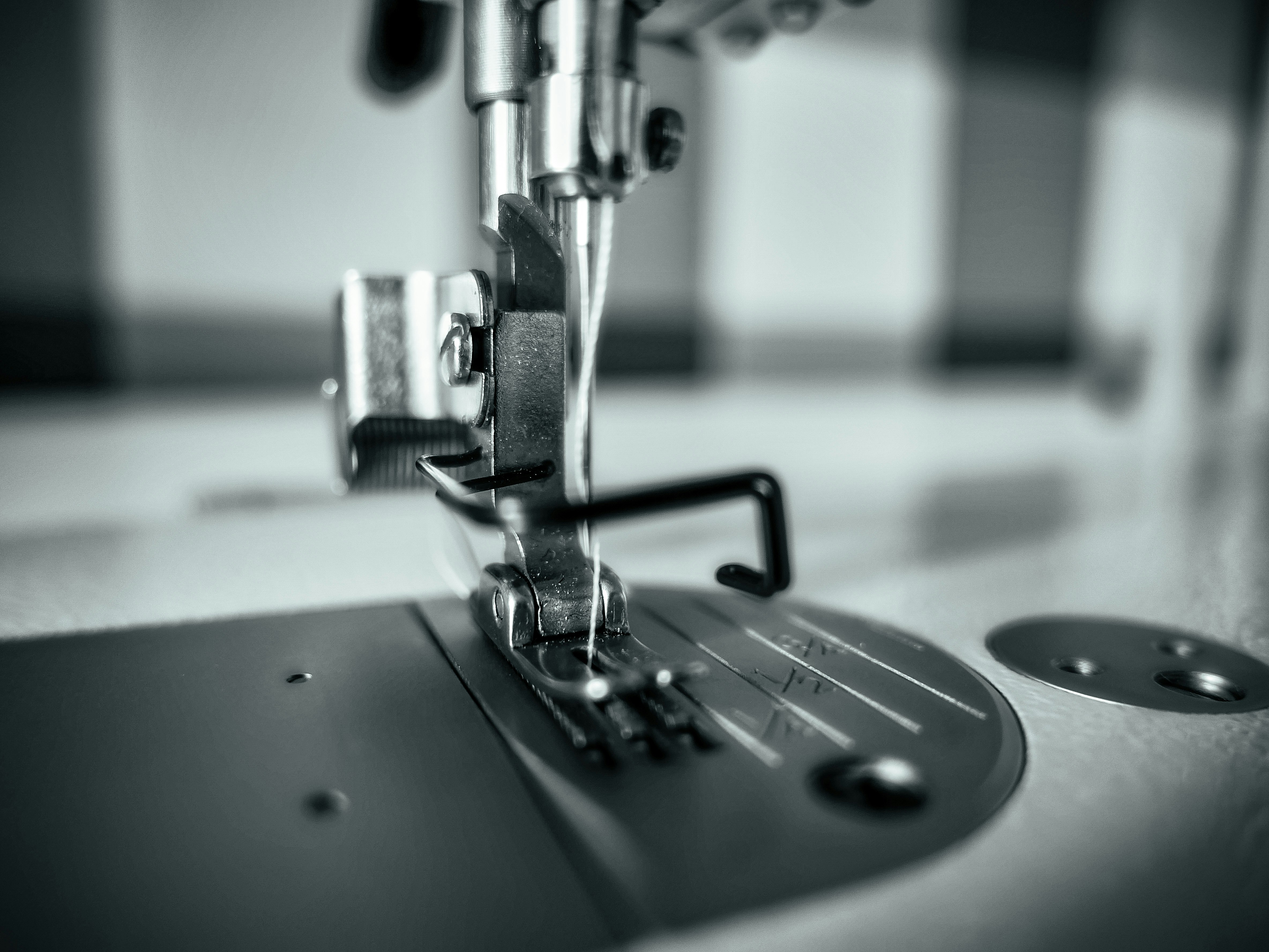 Photo by thomaswolter