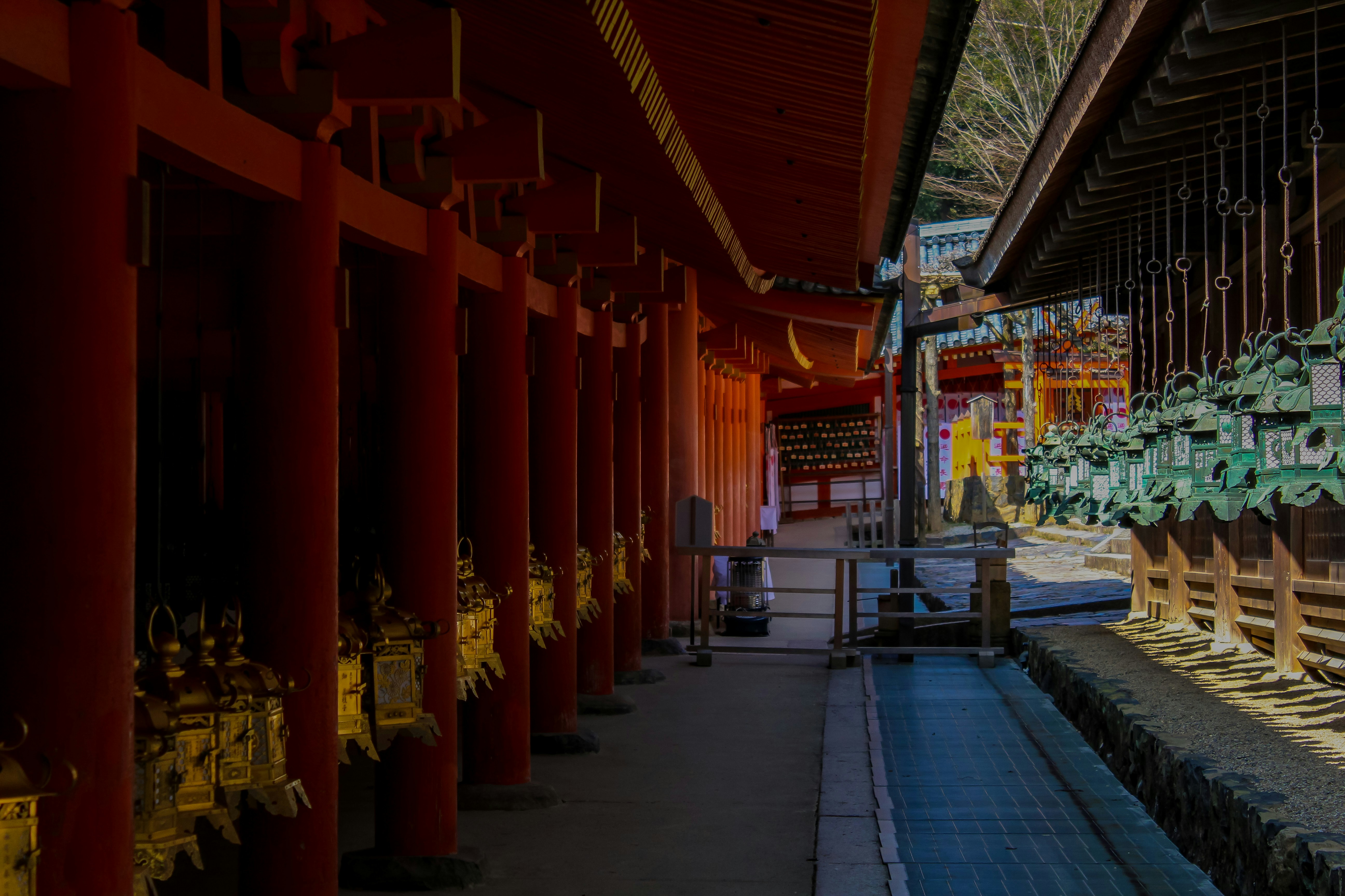 Photo by halleranguela