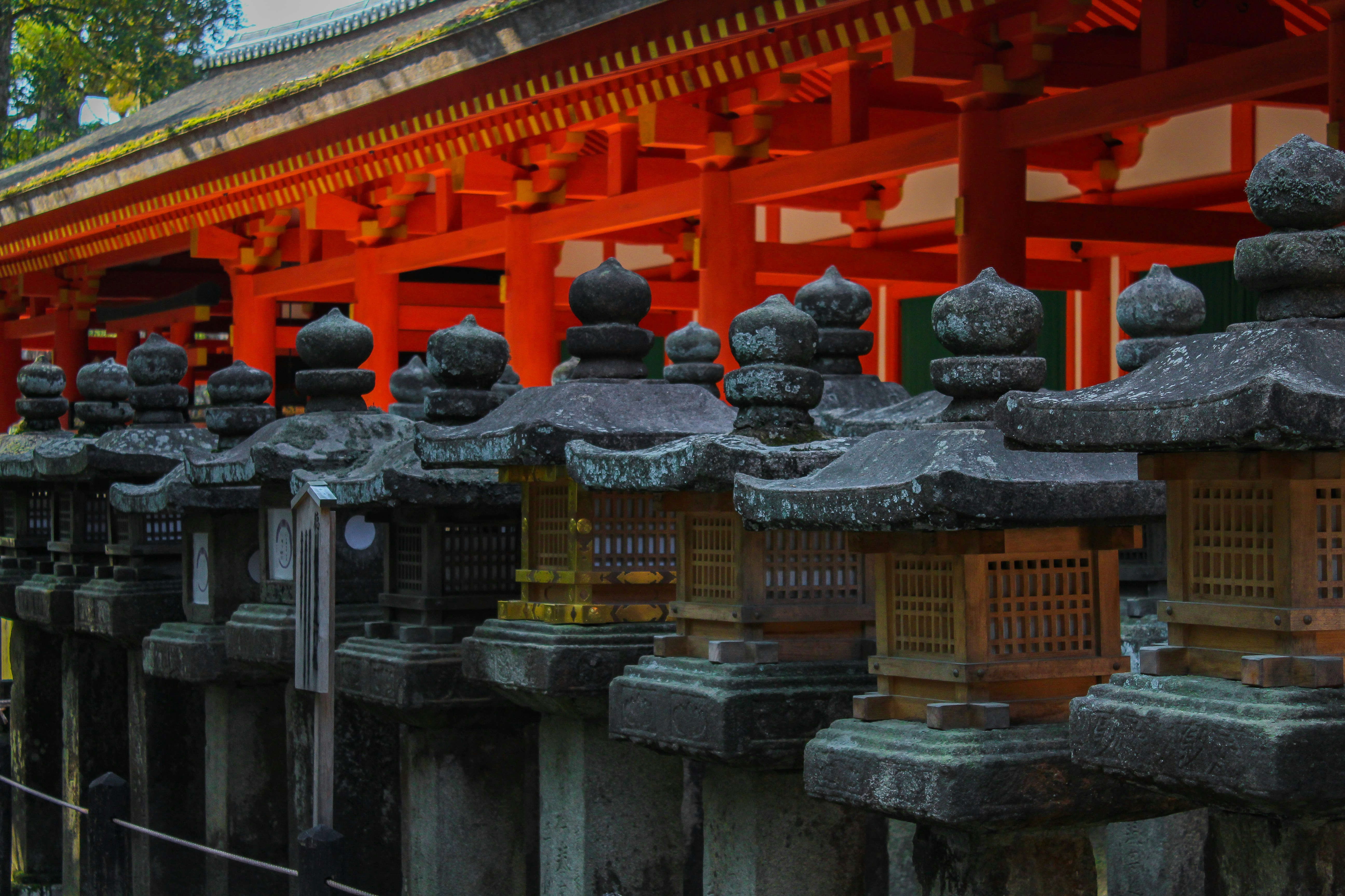 Photo by halleranguela