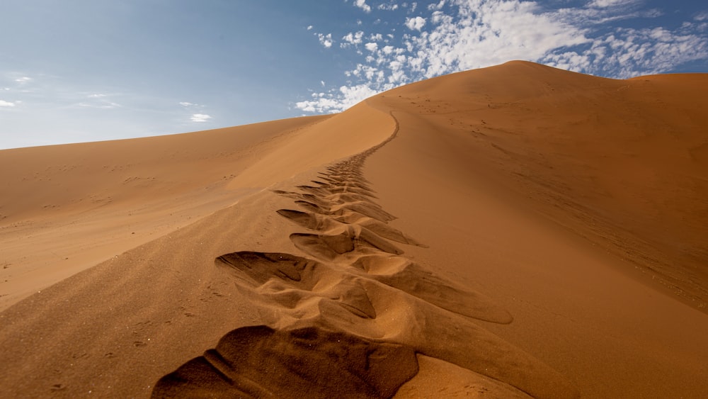 a desert with sand