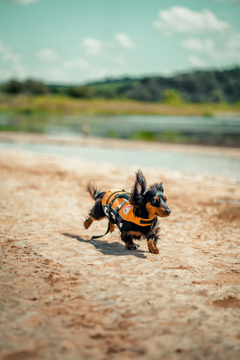 a horse running on a dirt road