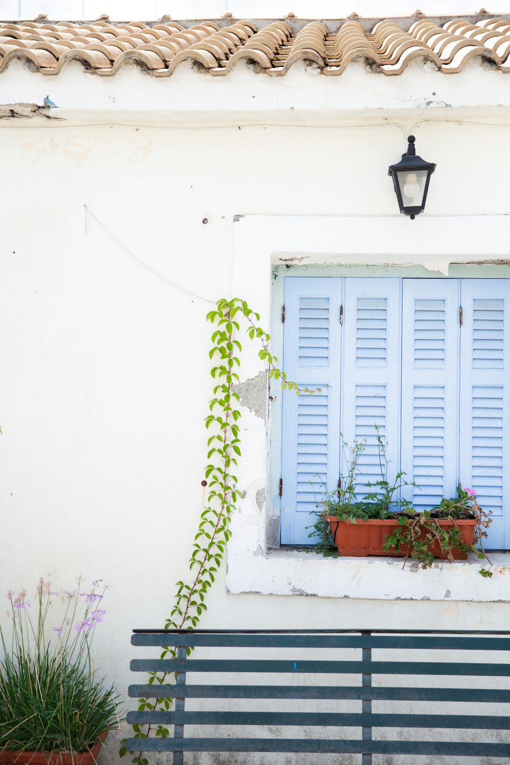 a white building with a blue door and plants in front of it