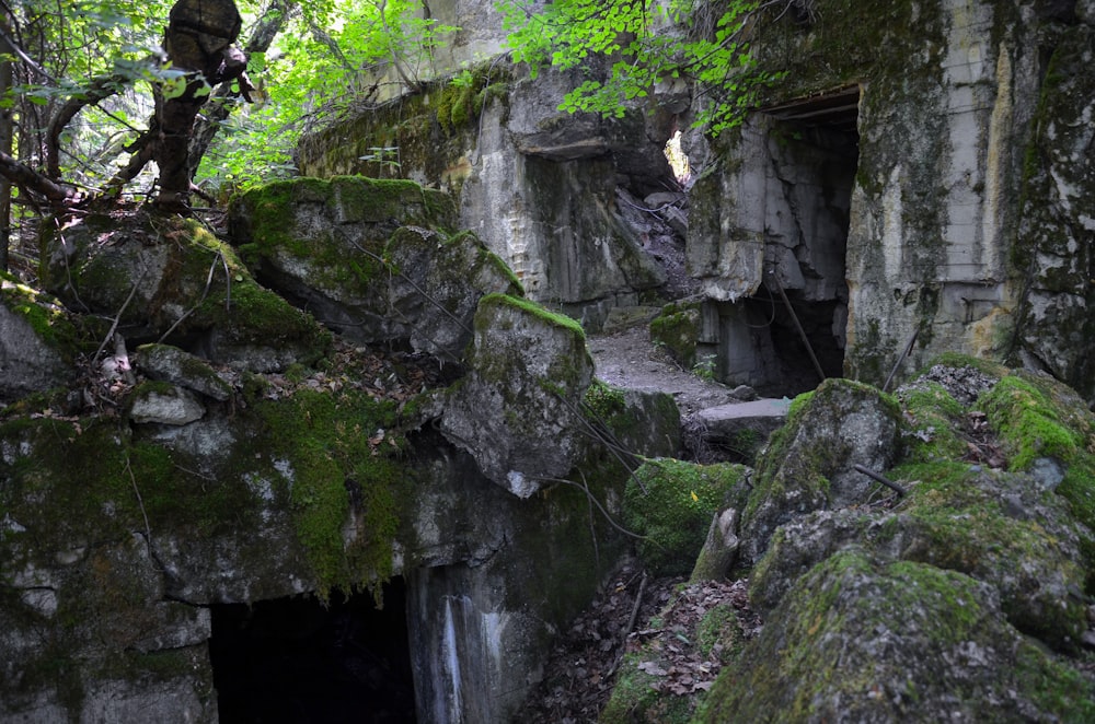 a stone building with moss on the walls