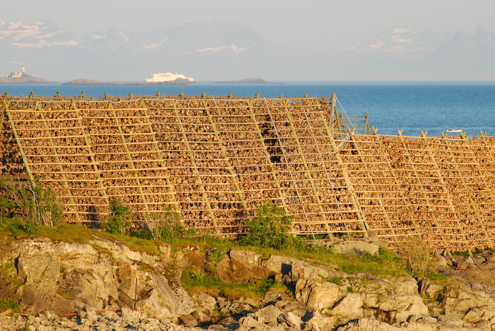 a large structure with a roof