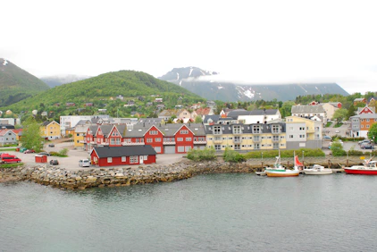 a body of water with boats and buildings along it