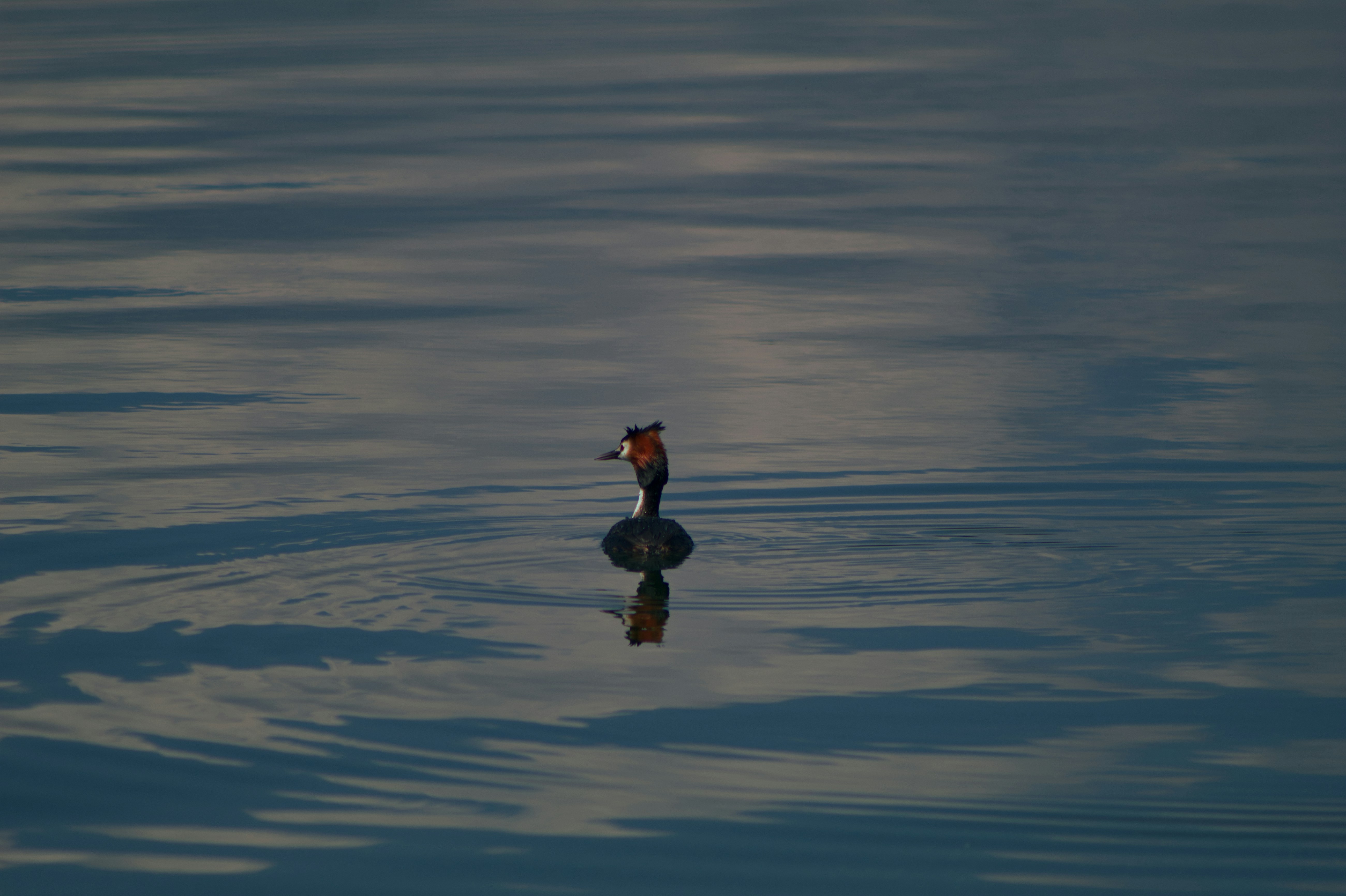 Photo by fidgetingferdie