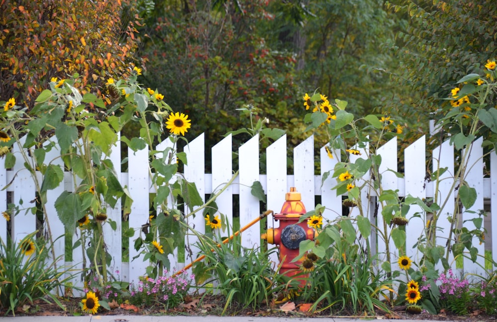 a fire hydrant in a garden