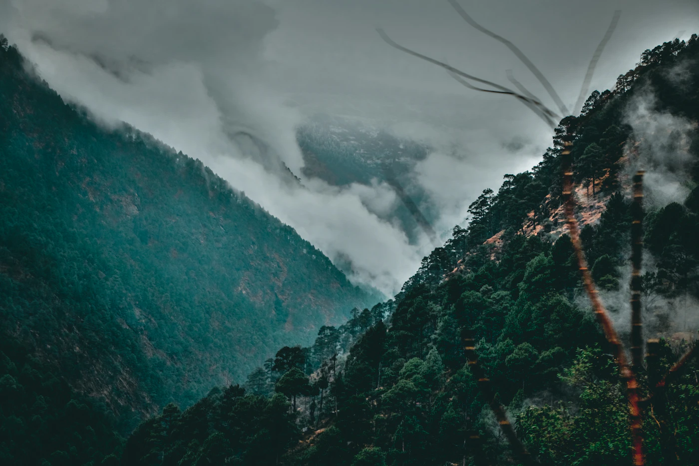 The Best Time to Visit India Isn't a Month. It's a Negotiation.