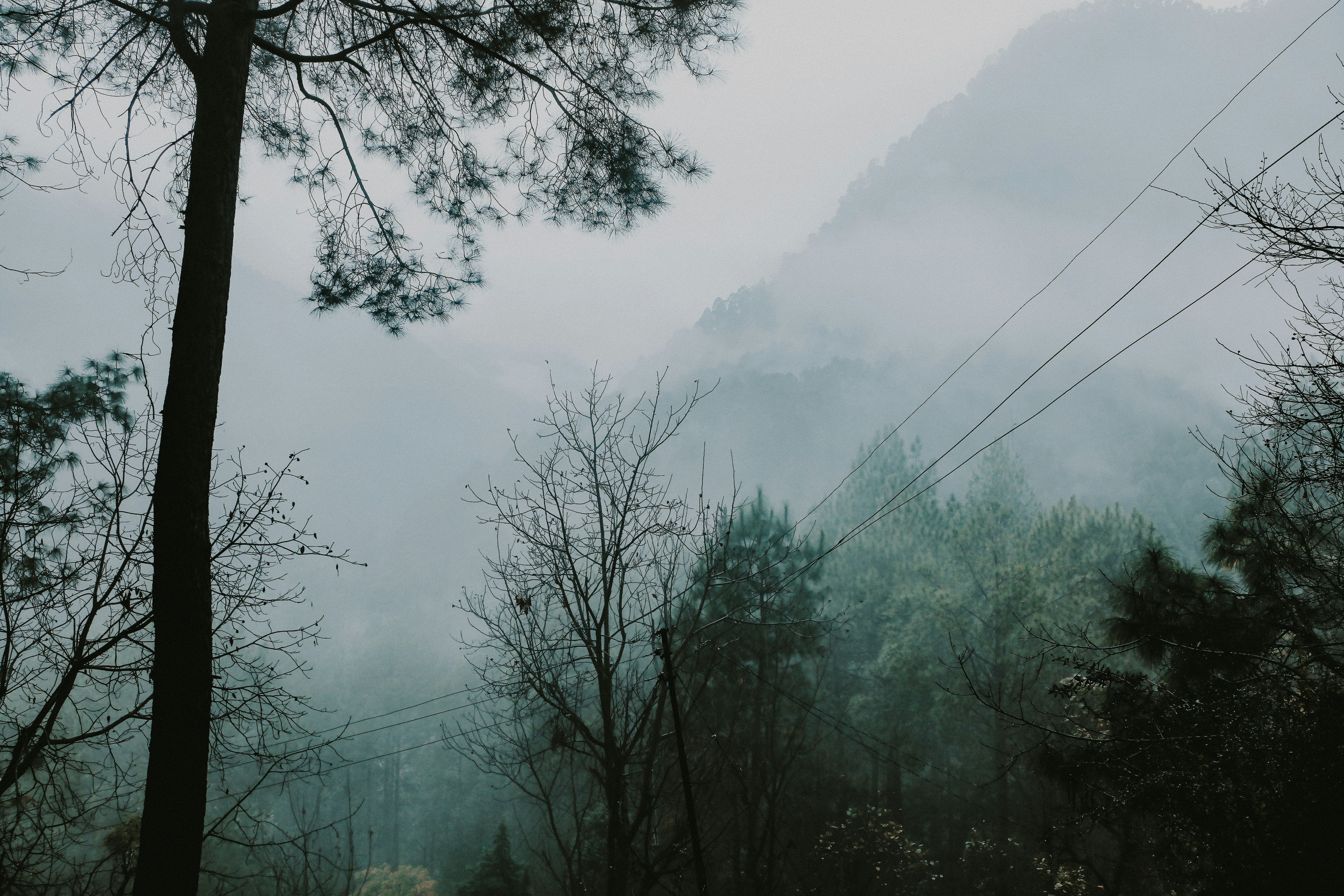 Photo by neha1301039