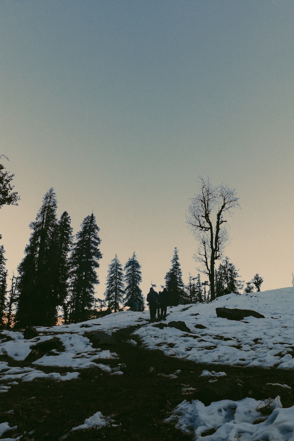 a person standing on a snowy hill