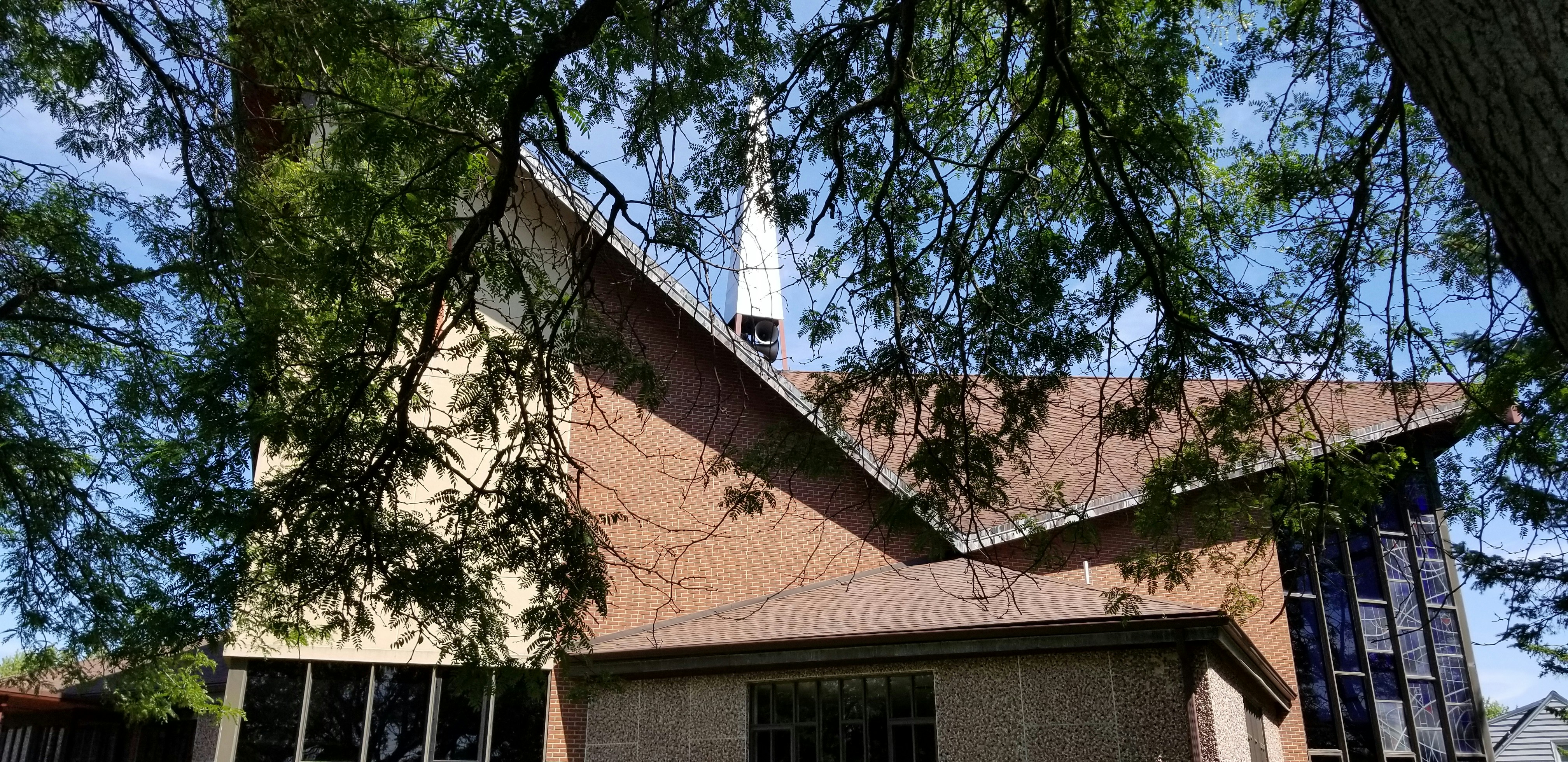 a house with a tree in the front