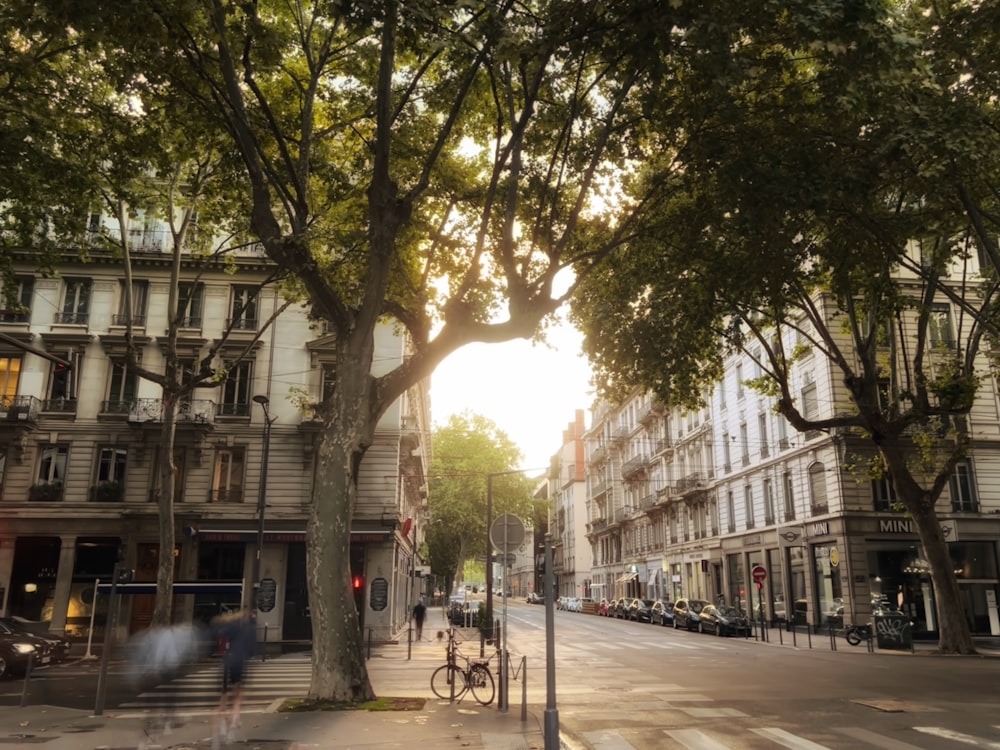 a street with trees and buildings on the side with La Rambla, Barcelona in the background