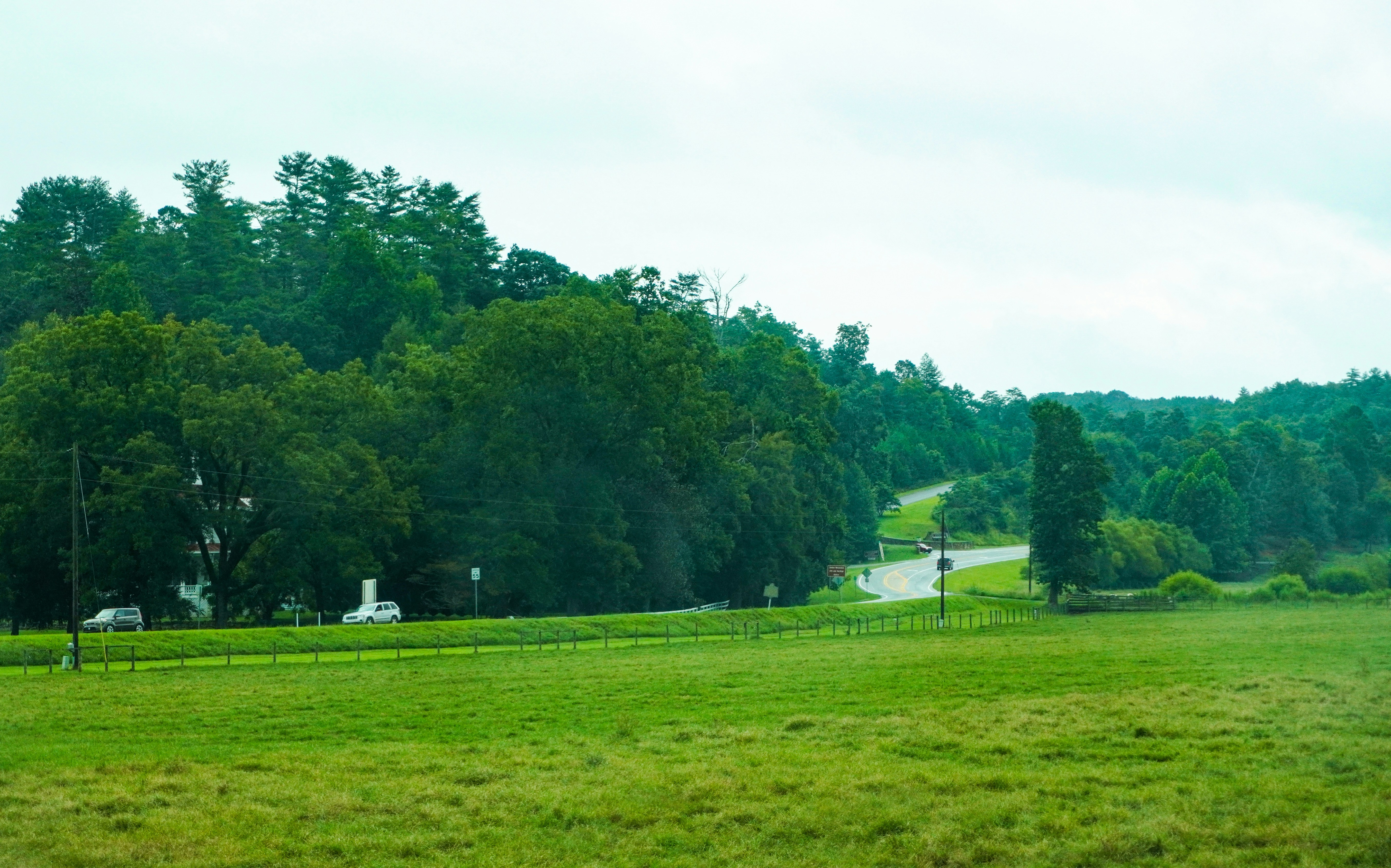 a grassy field with trees in the background