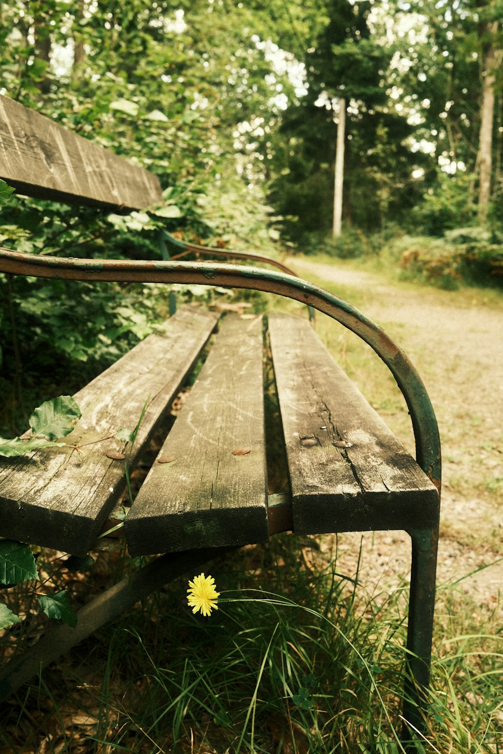 a wooden bench in a park