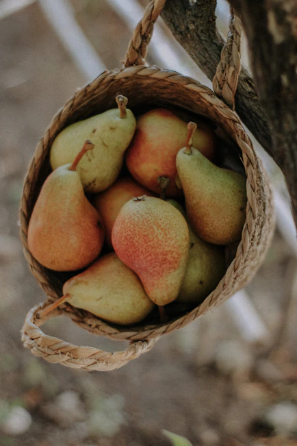 a basket of fruit