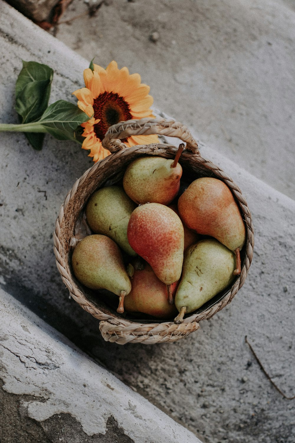 a basket of fruit