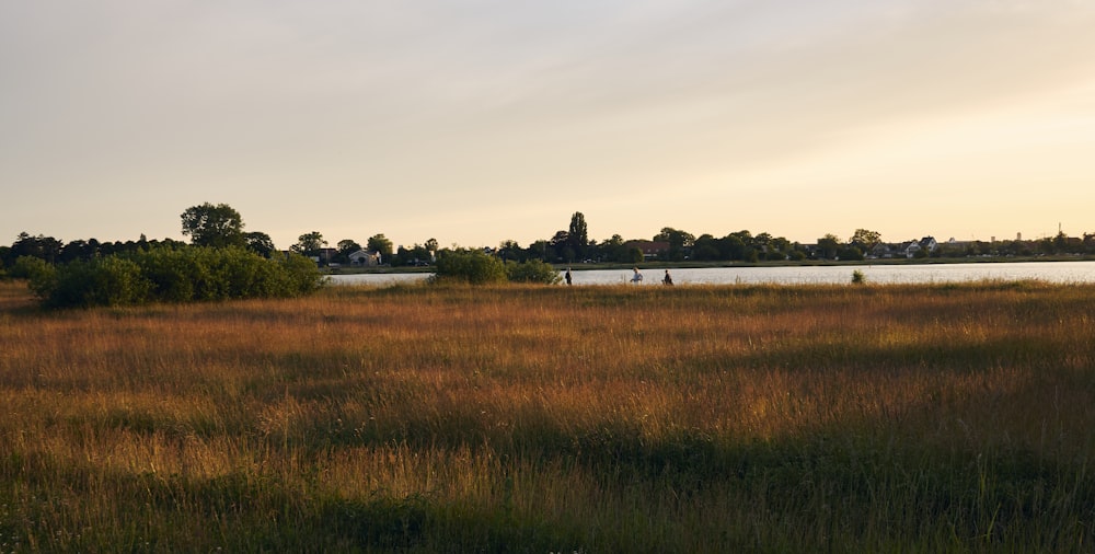 a field with a plane in the distance