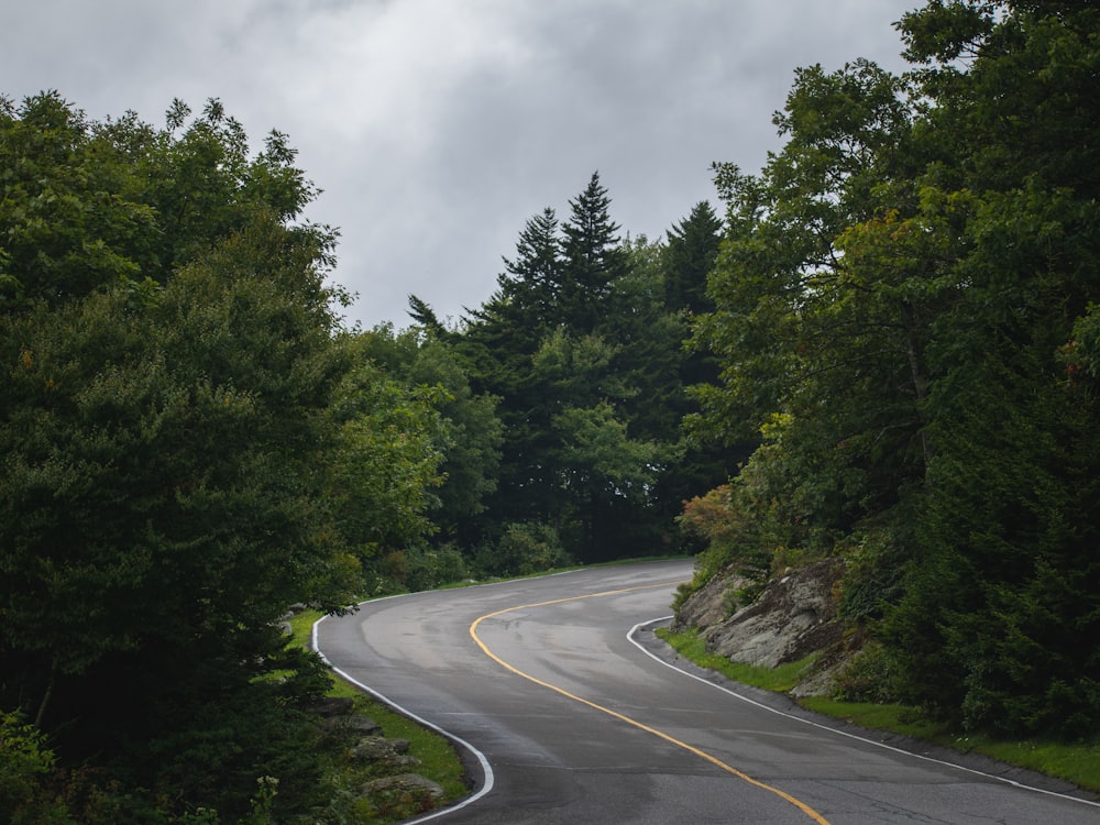 a road with trees on the side