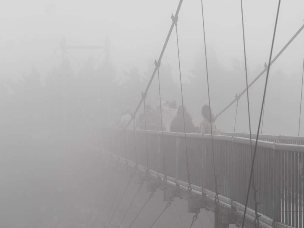 a group of birds on a bridge