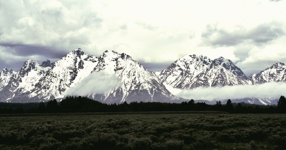 a field with mountains in the background