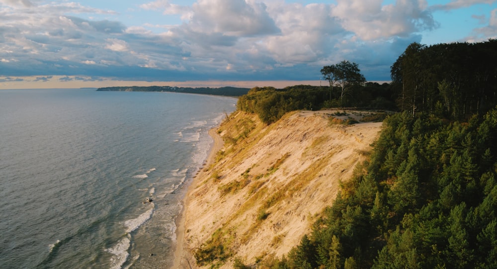 a beach with trees and a body of water