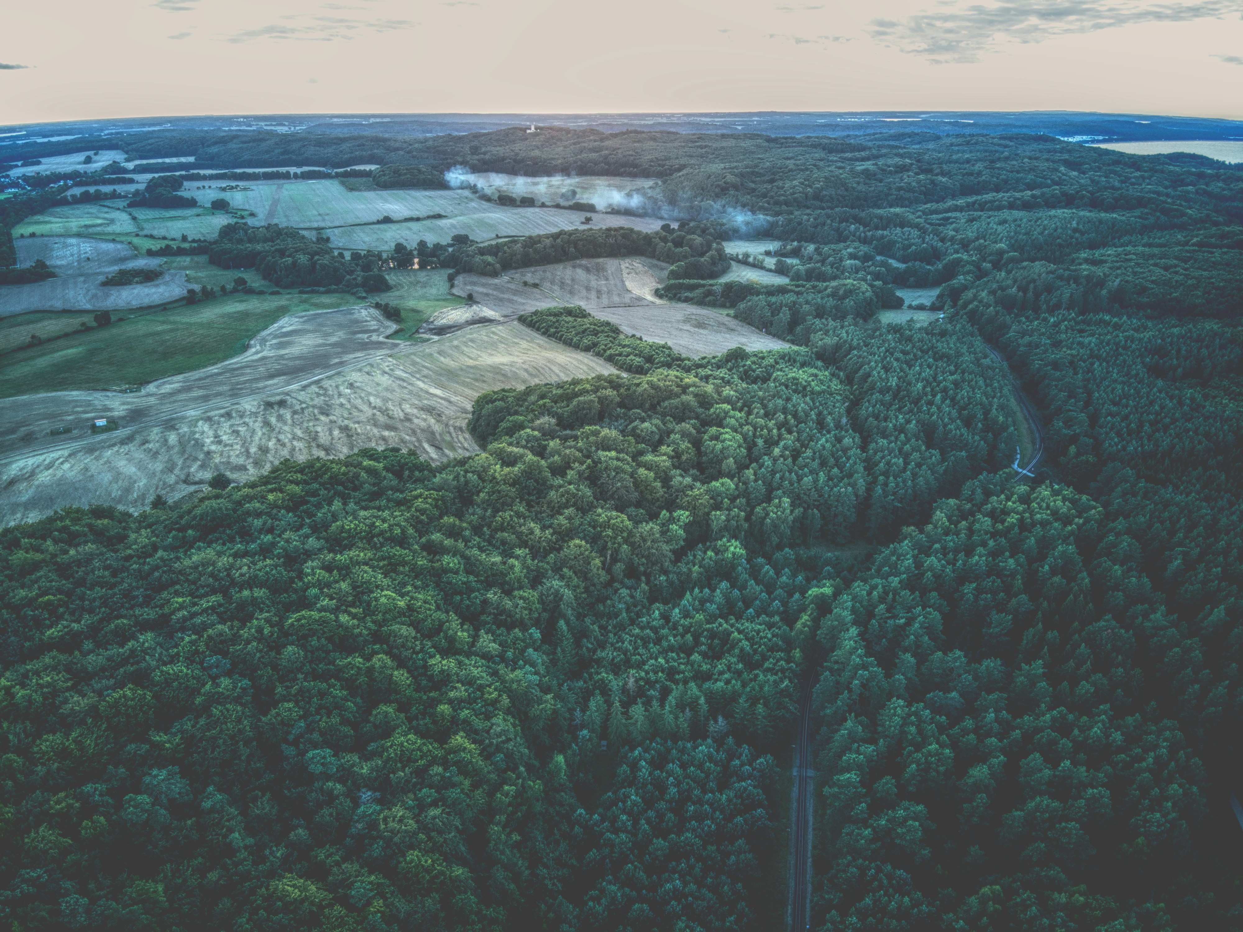 Photo by meister_stamm