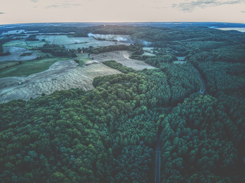 a landscape with trees and water