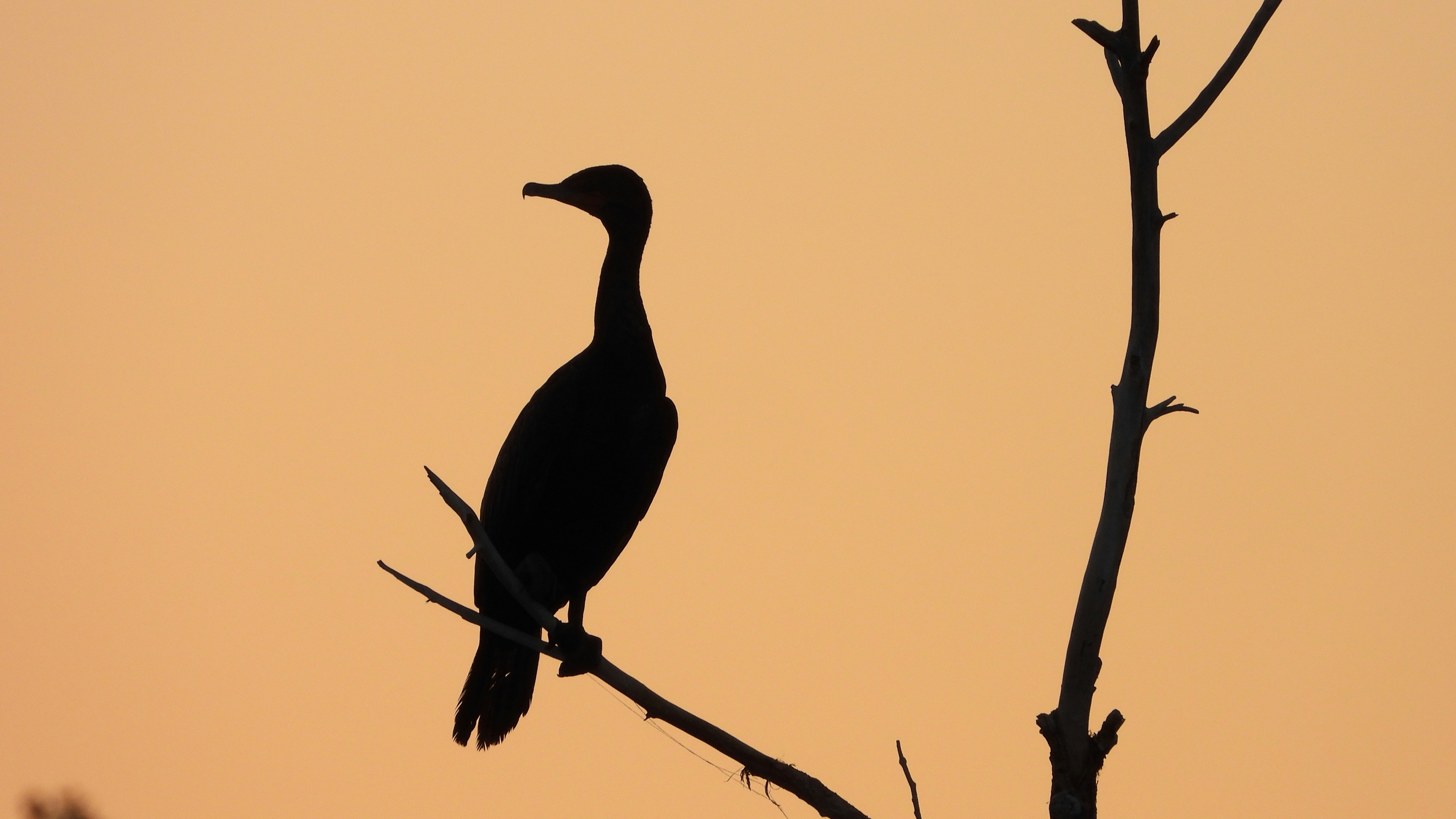 Photo by evergreene24