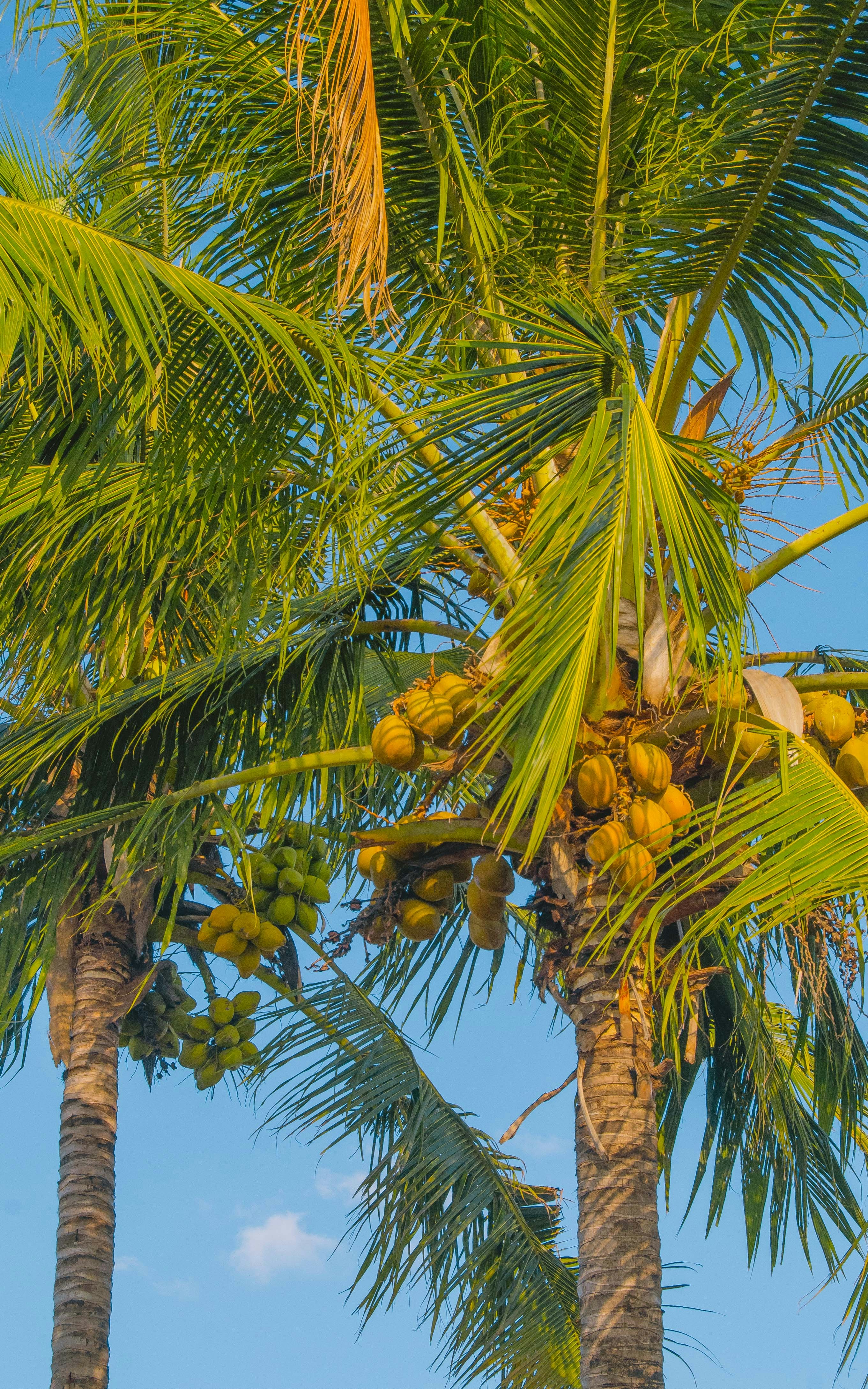 Photo by lucentstreet