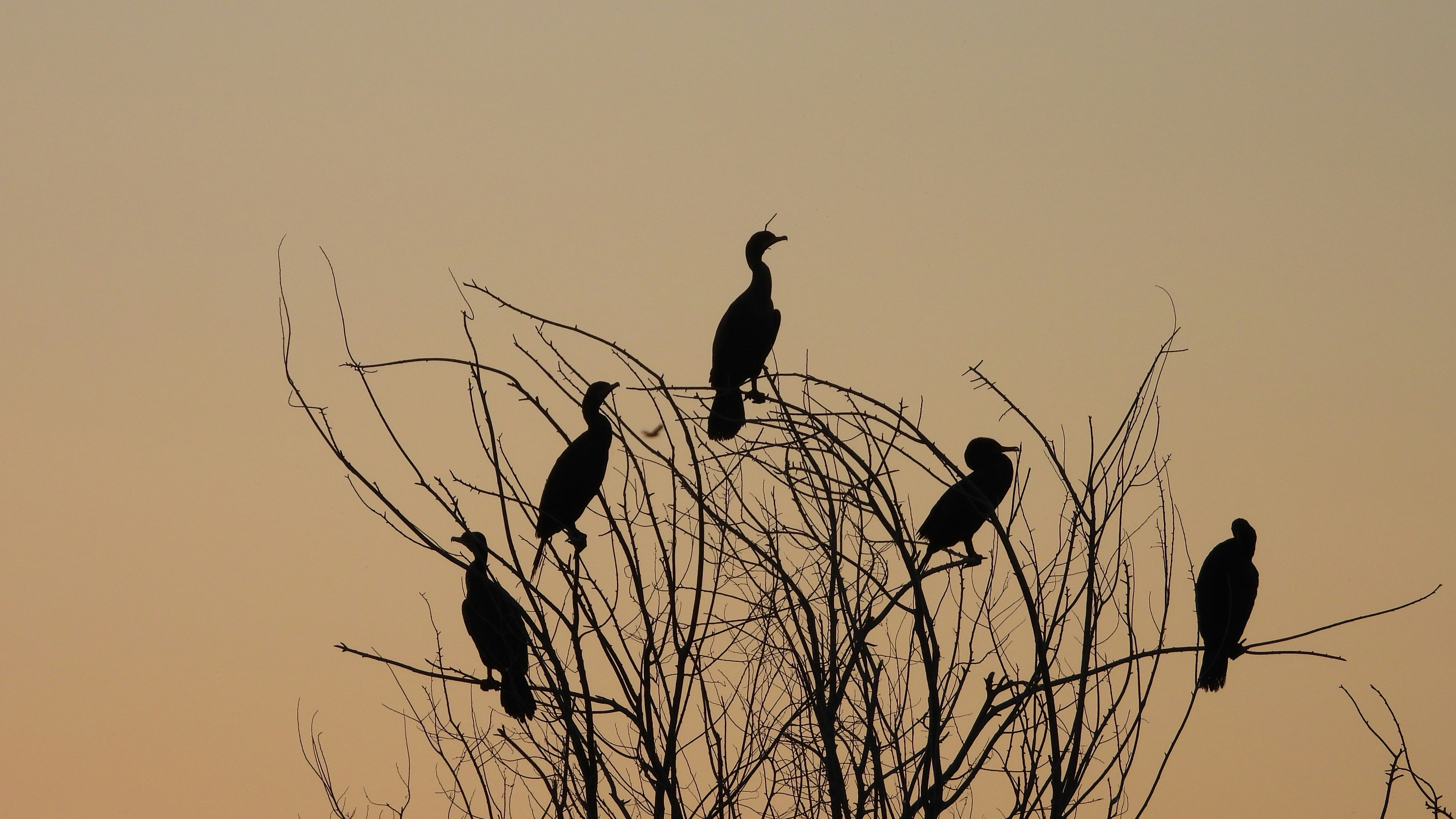 Photo by evergreene24