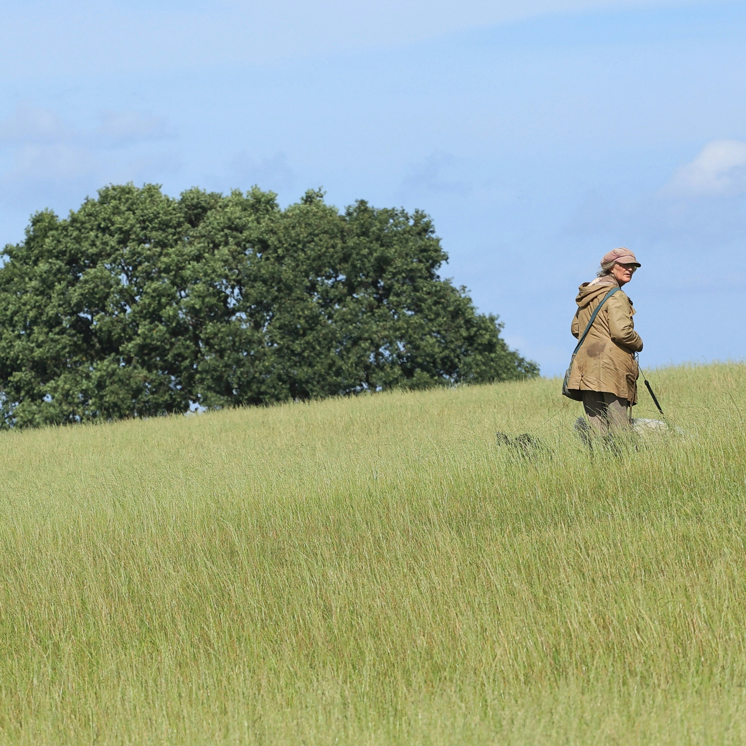 A person in a field photo – Free Field Image on Unsplash