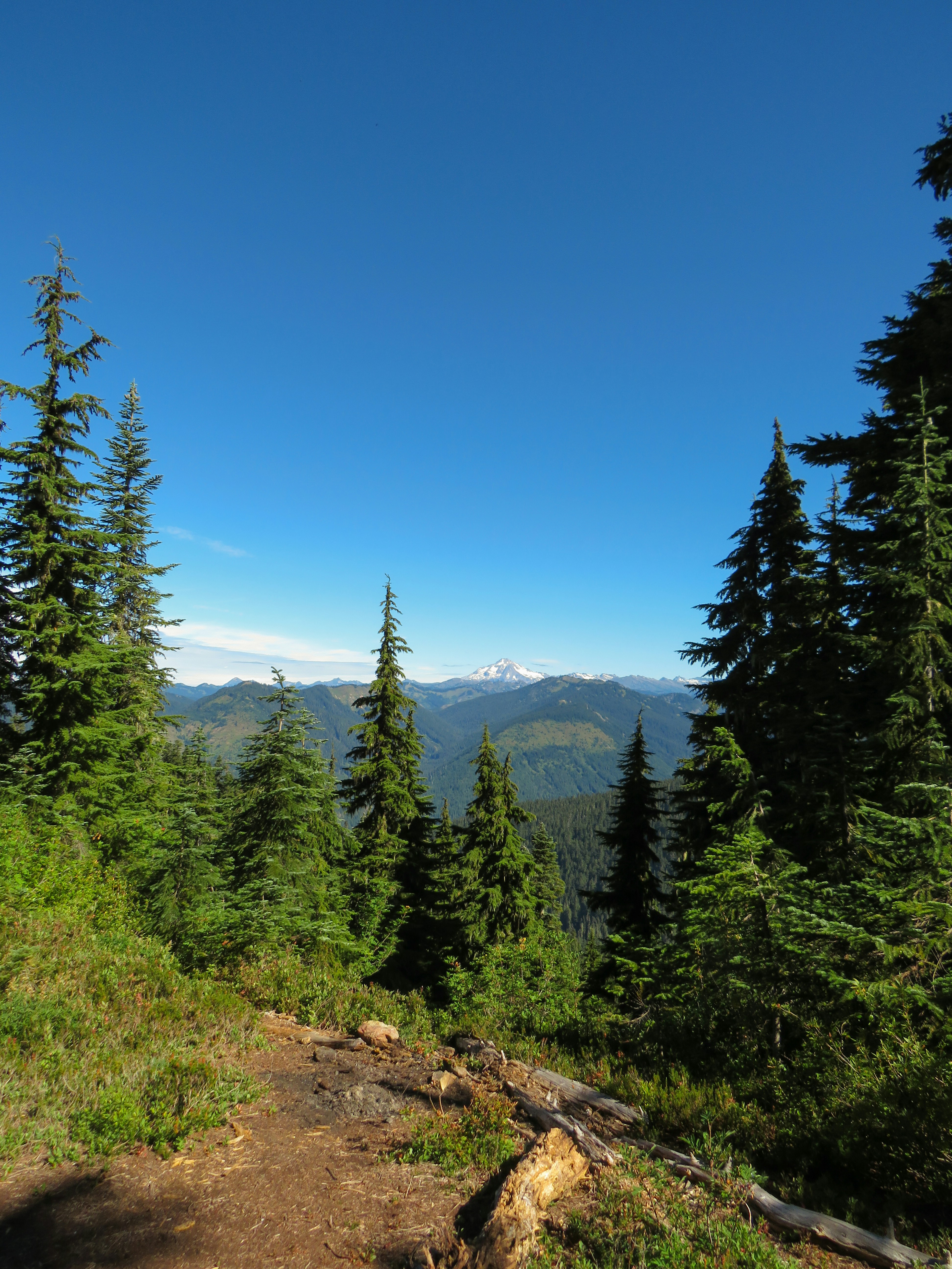 Photo by davidlangfyi