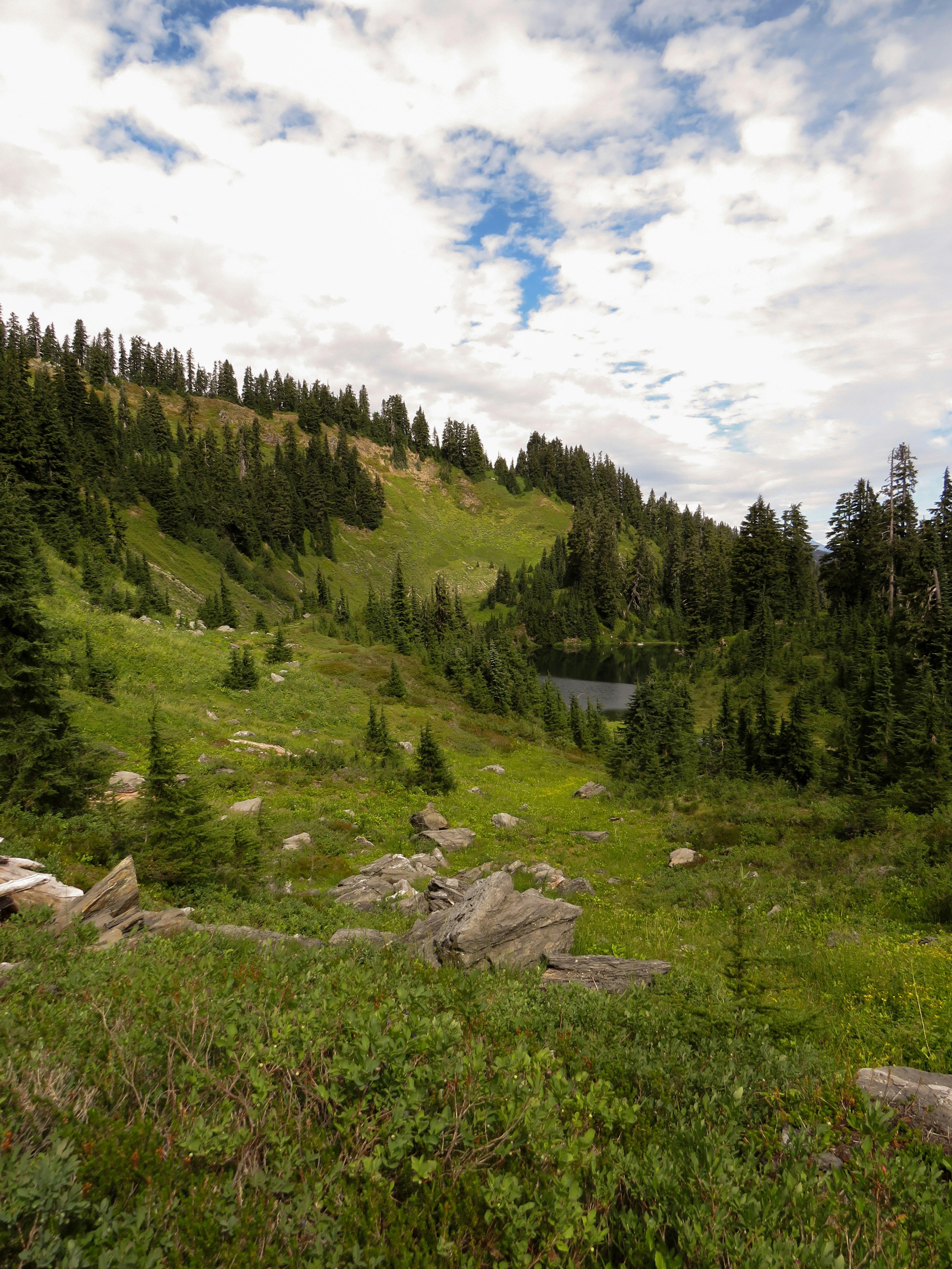 Photo by davidlangfyi