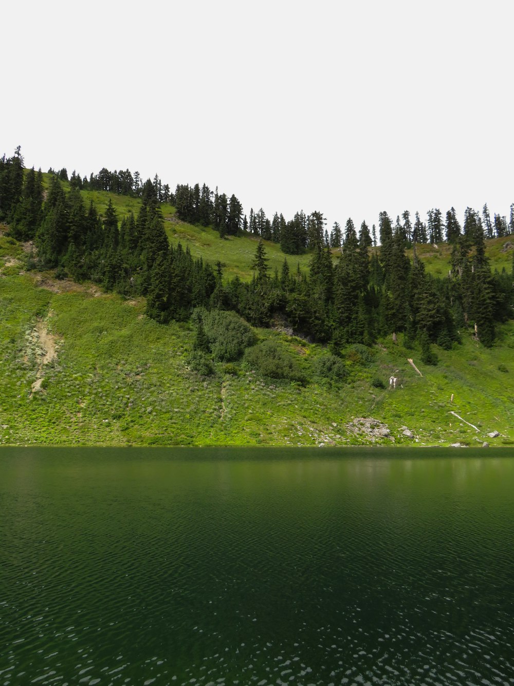 a body of water with trees on the side