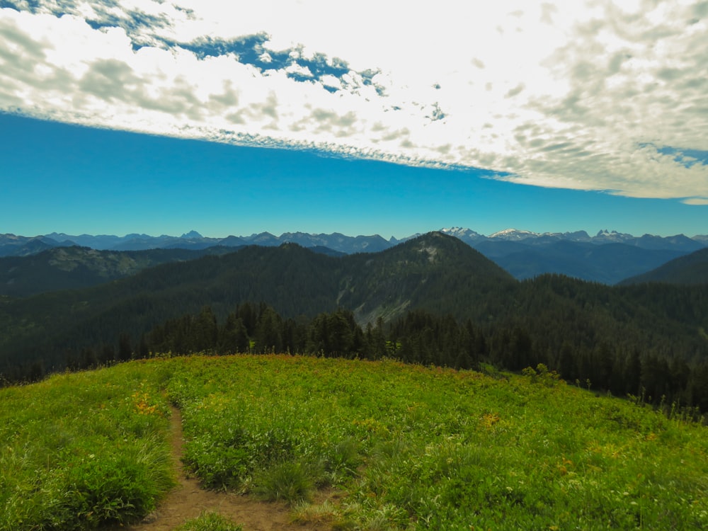 a grassy field with trees and mountains in the background