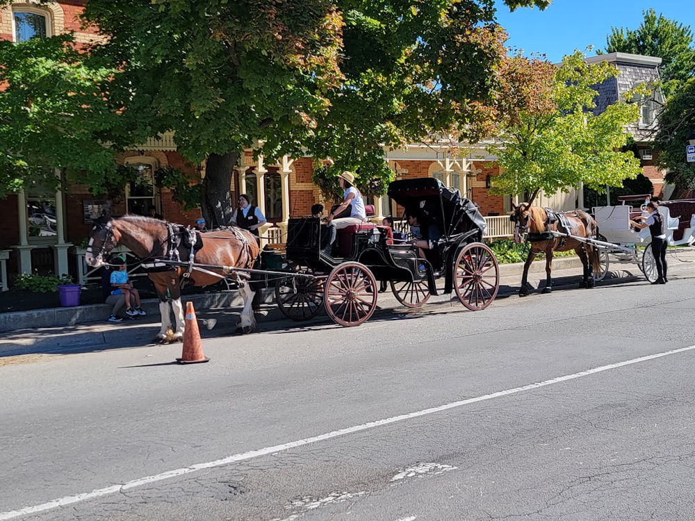 a couple of horses pull a carriage