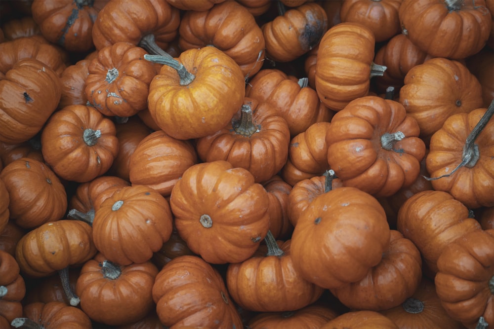 a pile of pumpkins