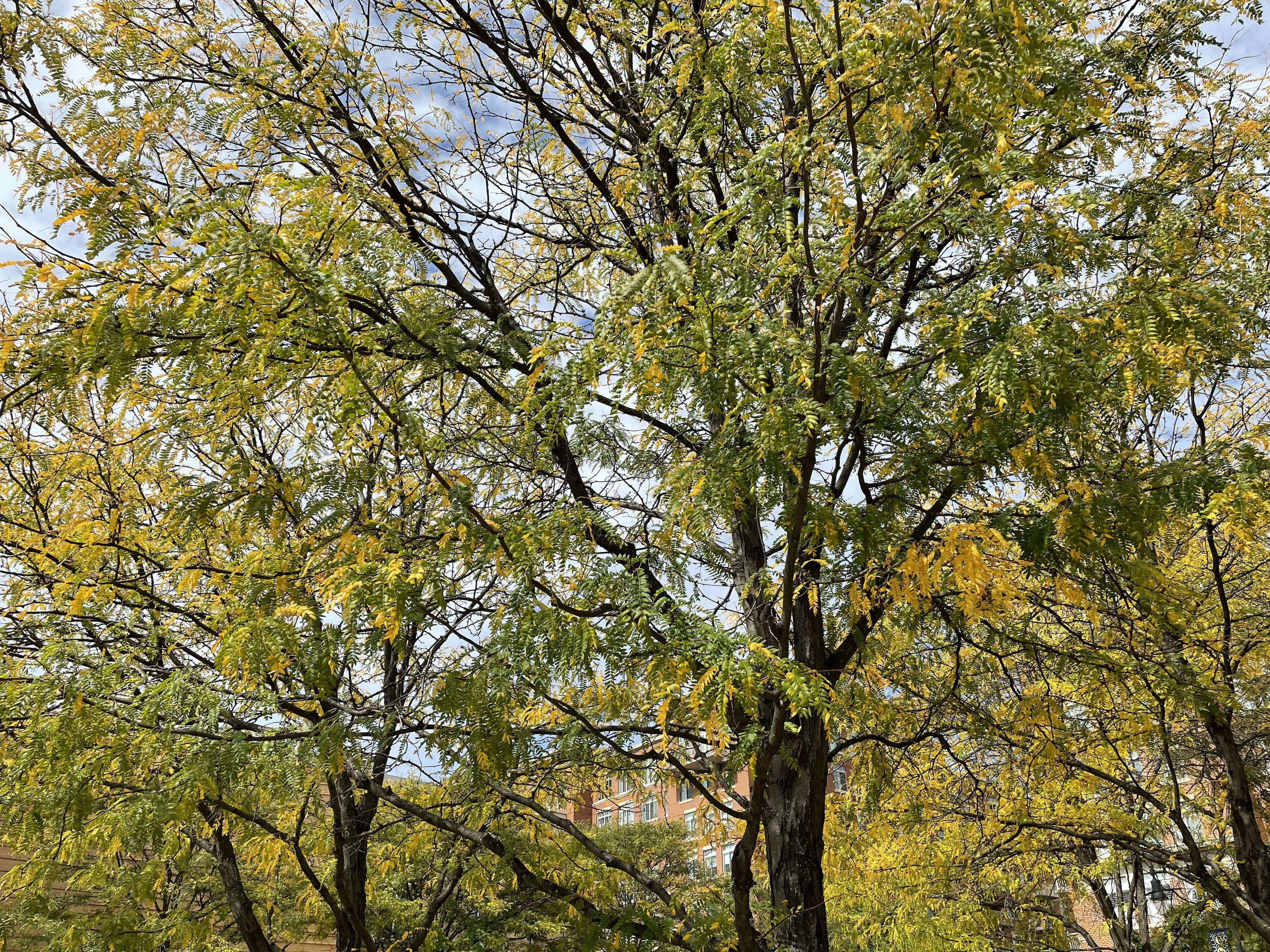 Photo by 007007muddasir