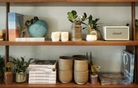 a shelf with plants and objects on it