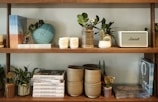 a shelf with plants and objects on it