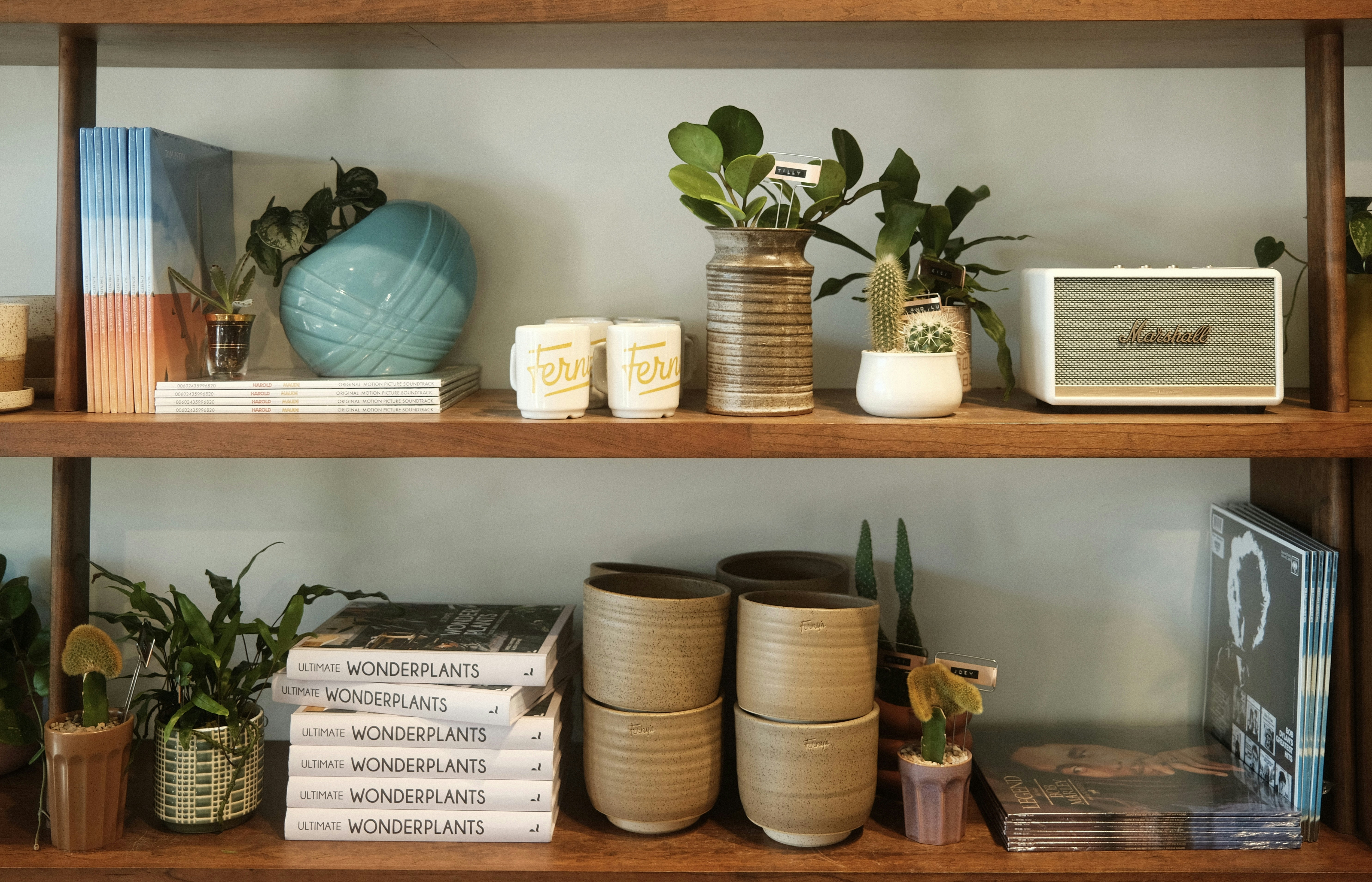 How Do I Prevent Plant Diseases?