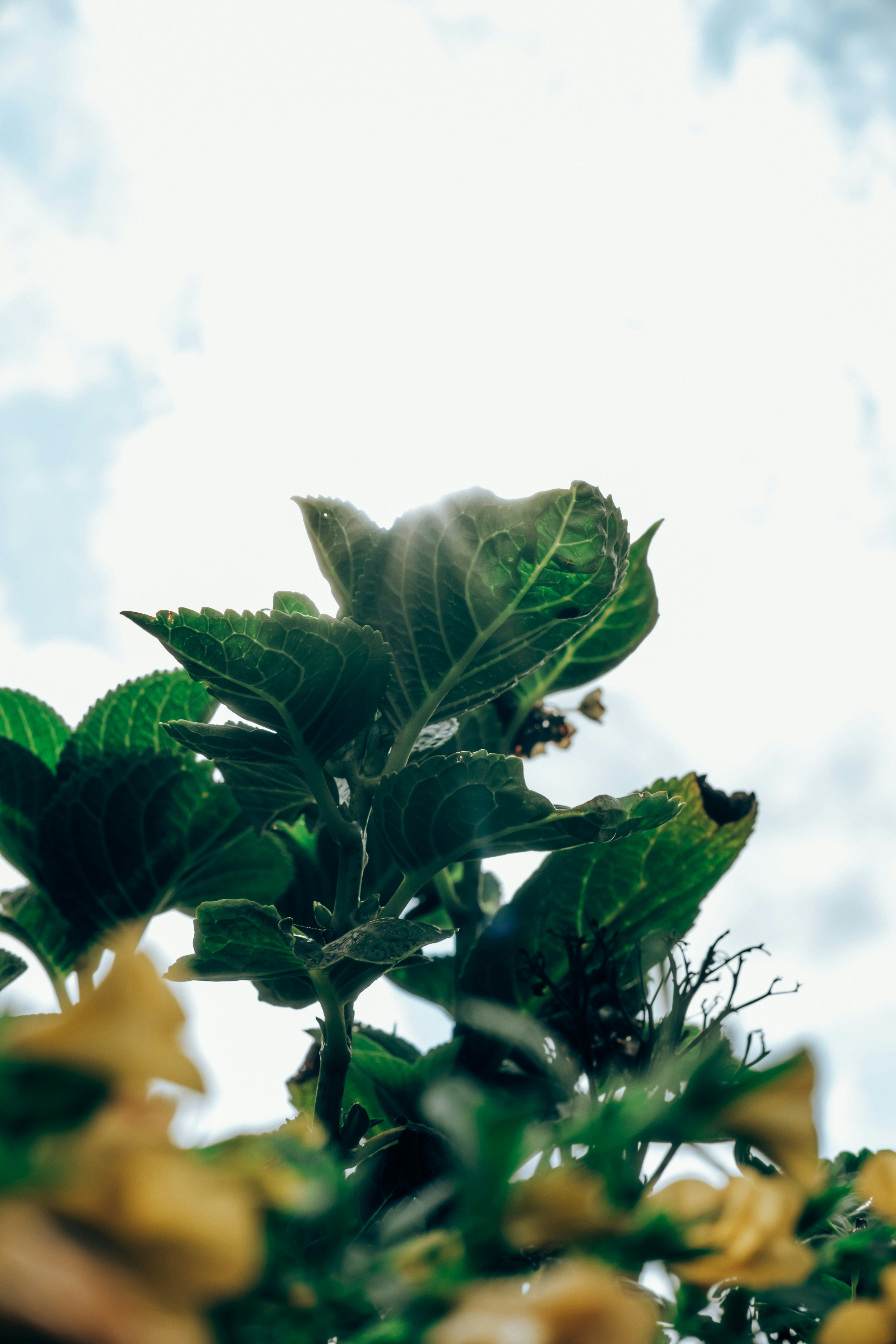 Photo by danjayjefferson