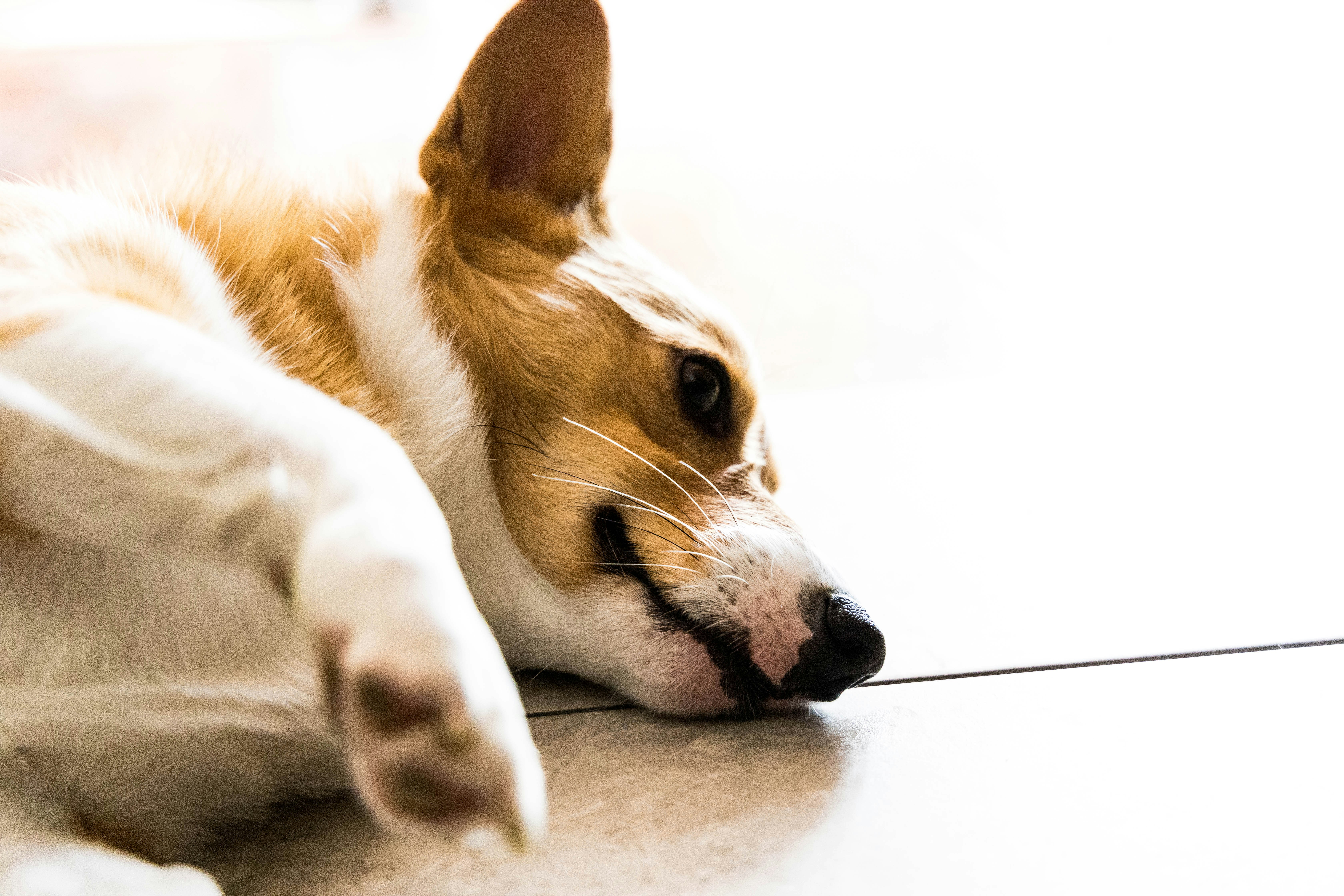 summer running wallpaper, wallpaper, 7 Manfaat Lari Siang yang Jarang Diketahui 6