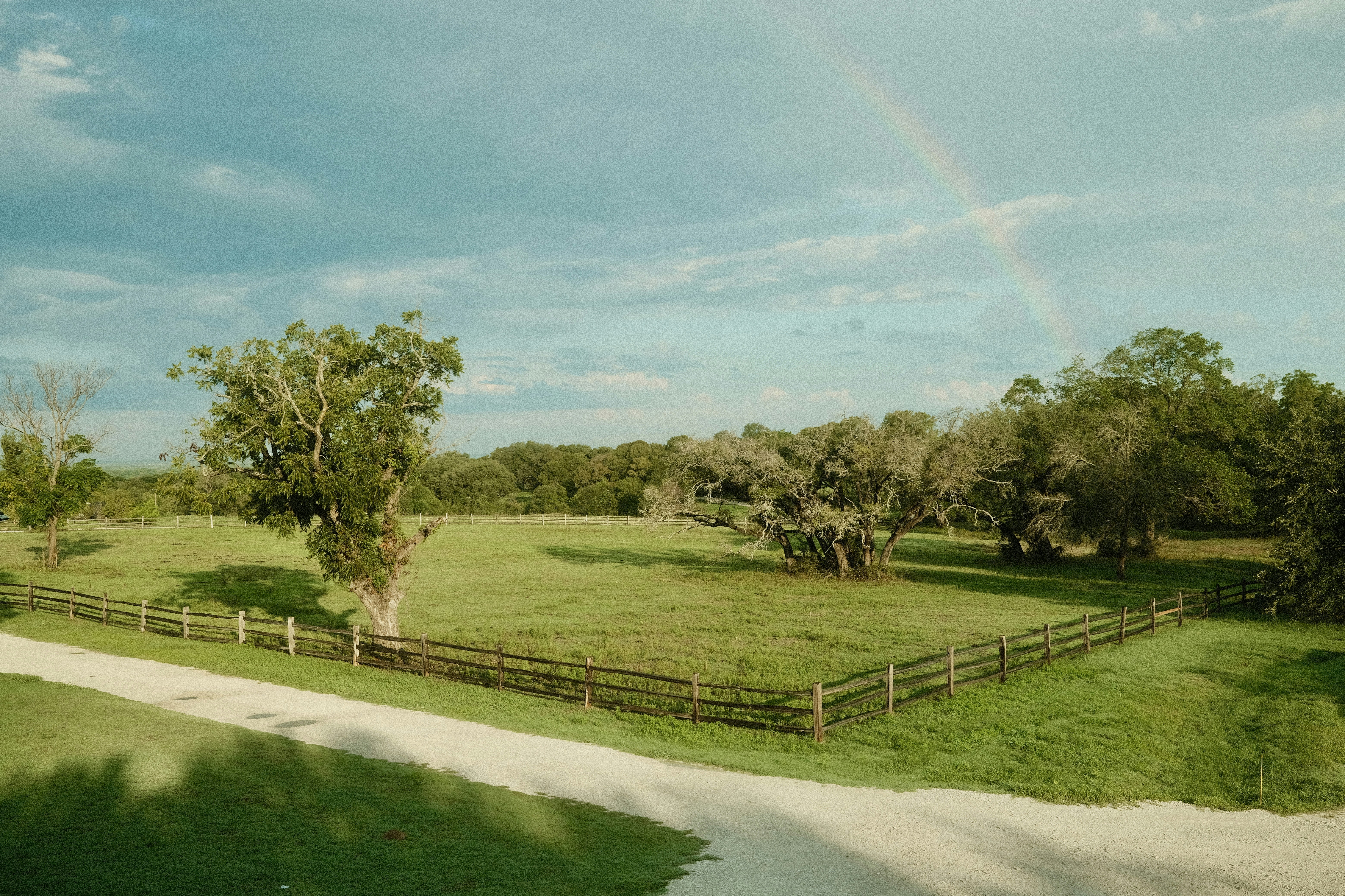 a road with grass and trees on the side