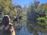 Kayaker paddling through calm river waters bordered by lush green forest.